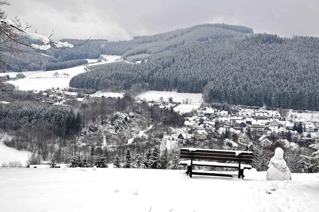 Hotel Niedersfeld-winterberg 3*