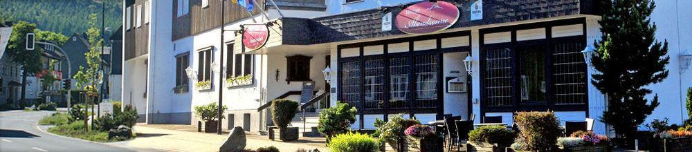 Hotel Niedersfeld-winterberg 3*